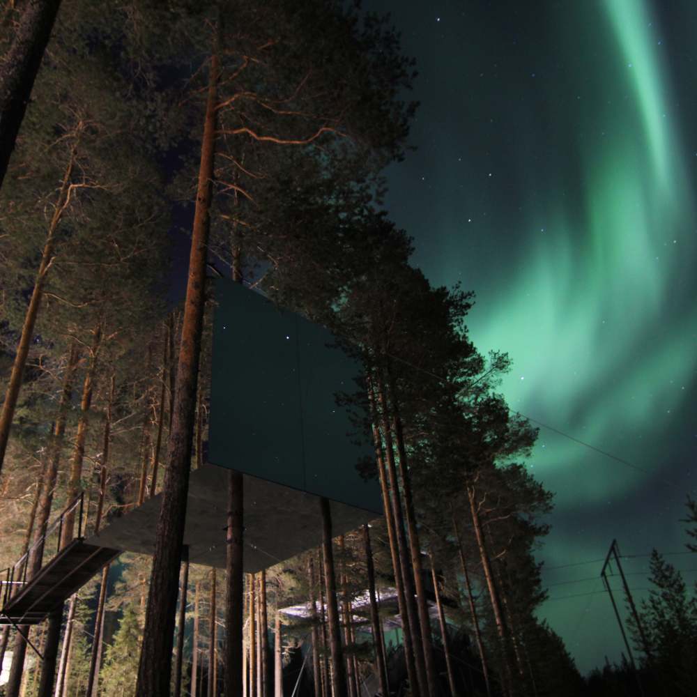 Icehotel &amp; Treehotel, Swedish Lapland