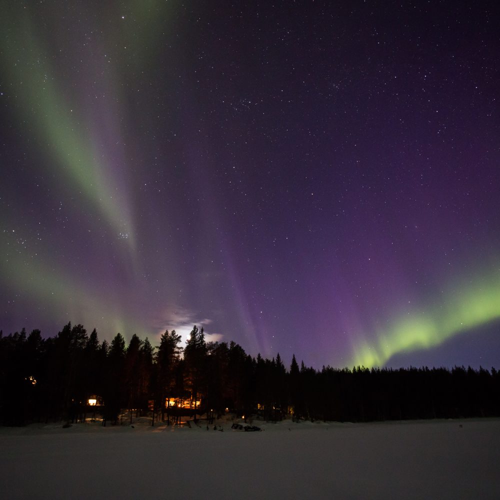 Aurora Safari Camp