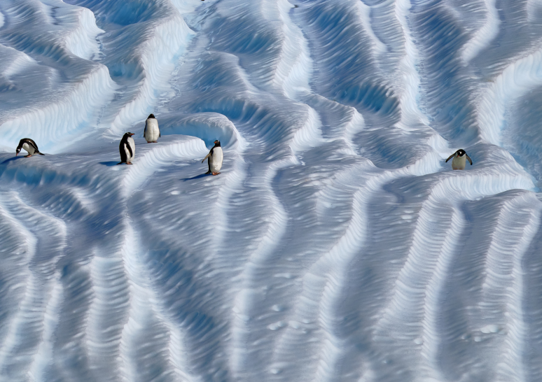Extraordinary Antarctica: Cross the Polar Circle