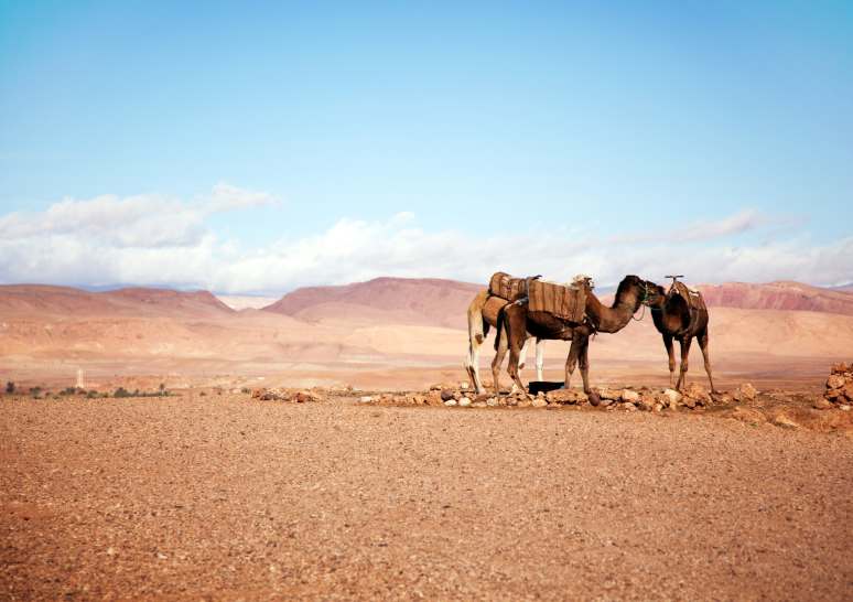 Epic Morocco