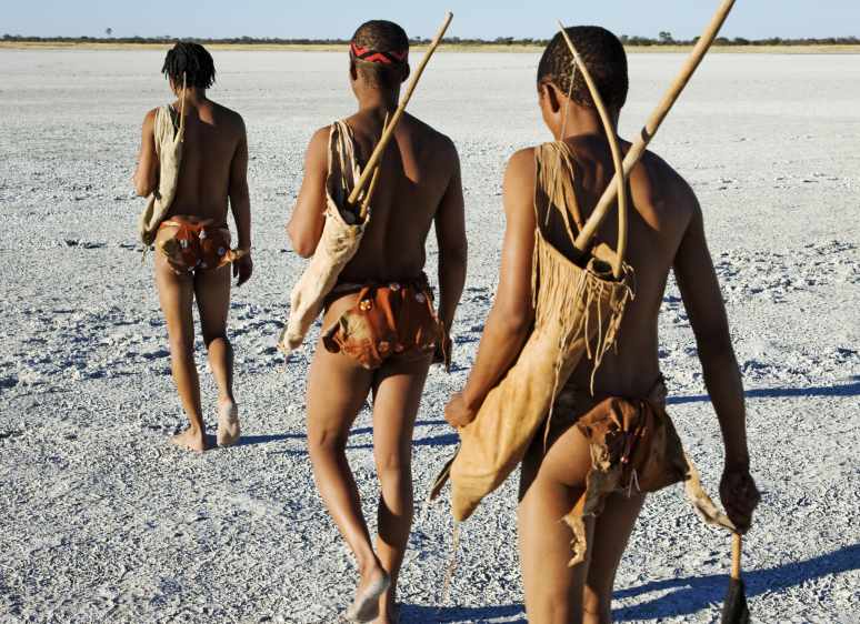 Walk with the Kalahari Bushmen