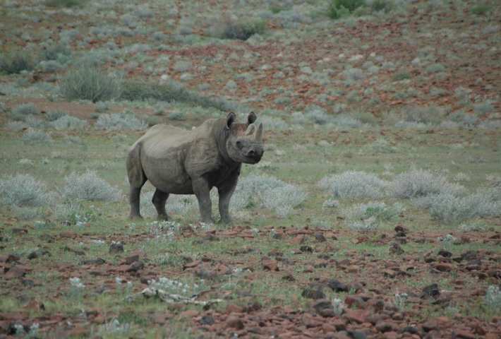 KwaZulu Natal Safari South Africa