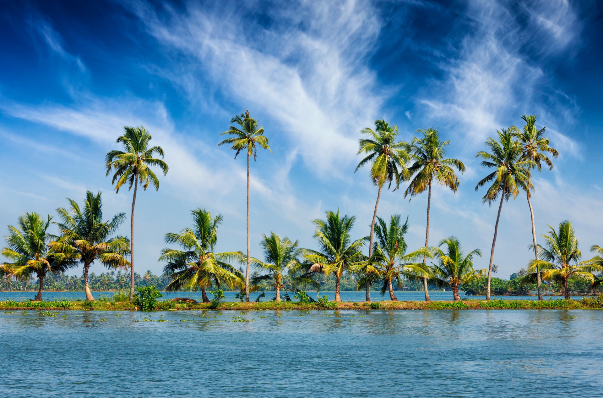 Exceptional Kerala and The Maldives | Luxury Tailor-made India | Scott ...