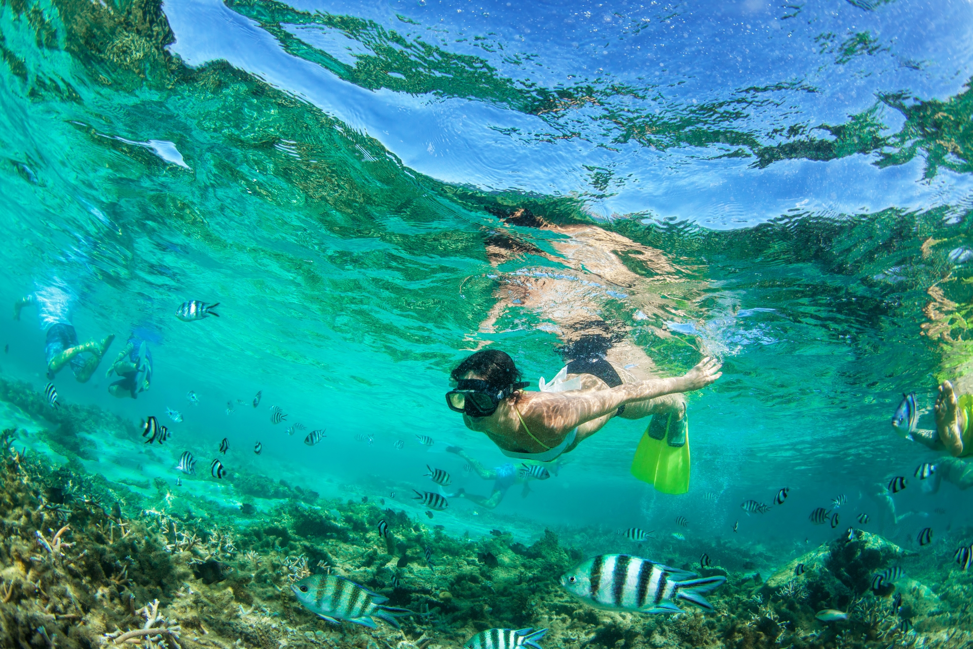 Twin Centre Honeymoon South Africa & Mauritius