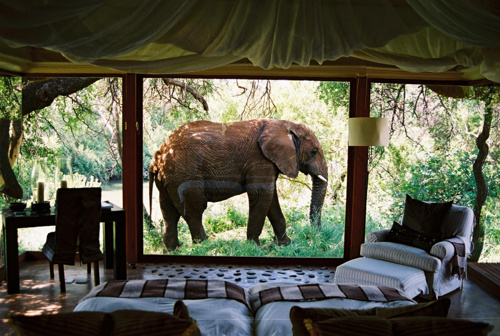 Epic South Africa and Mozambique