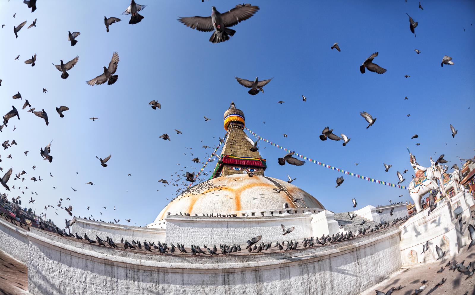 Imagine Nepal