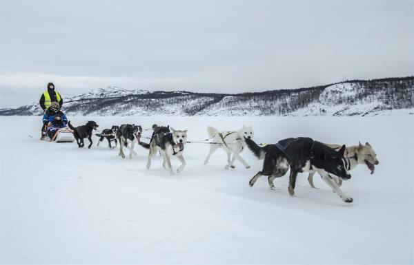 Kirkenes Snow Hotel