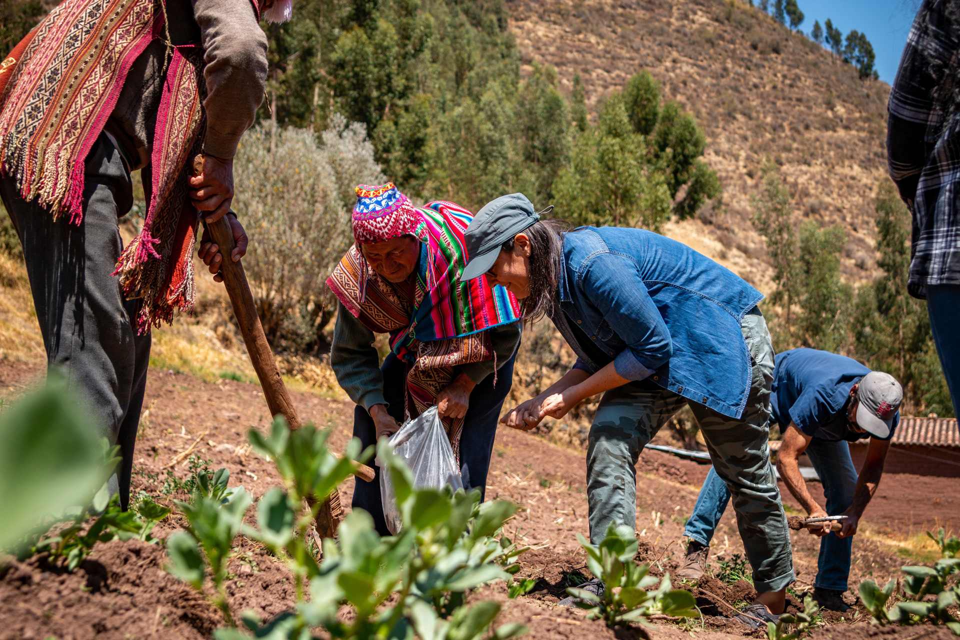 The Flavour Trail: Peru 