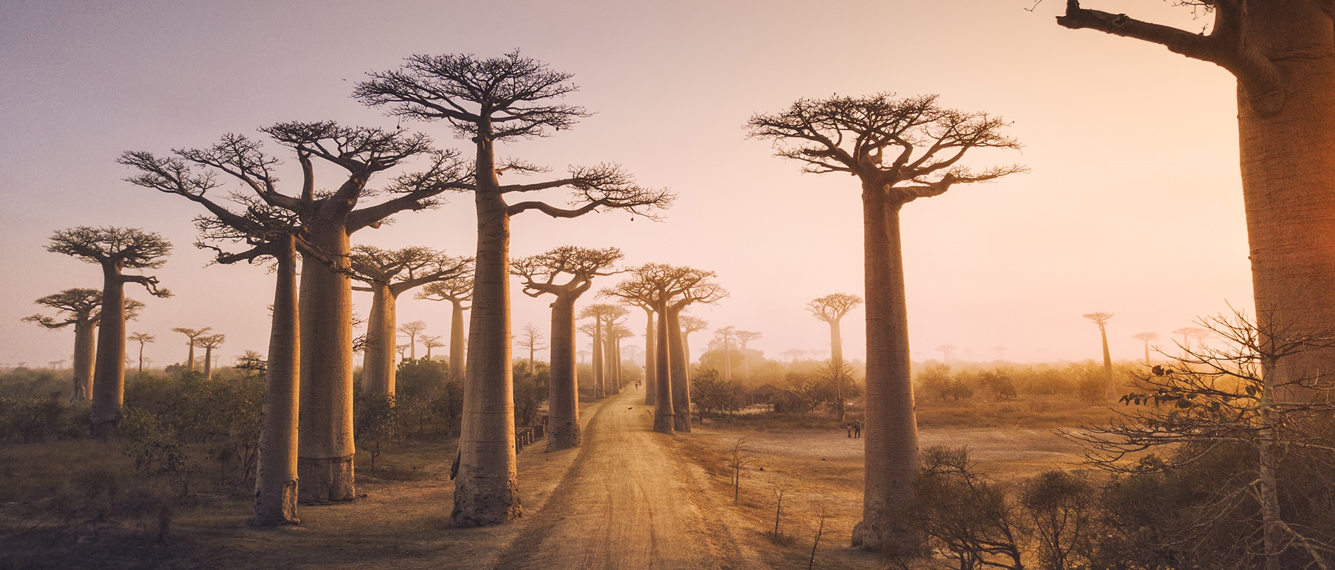  Plan your Madagascar trip today