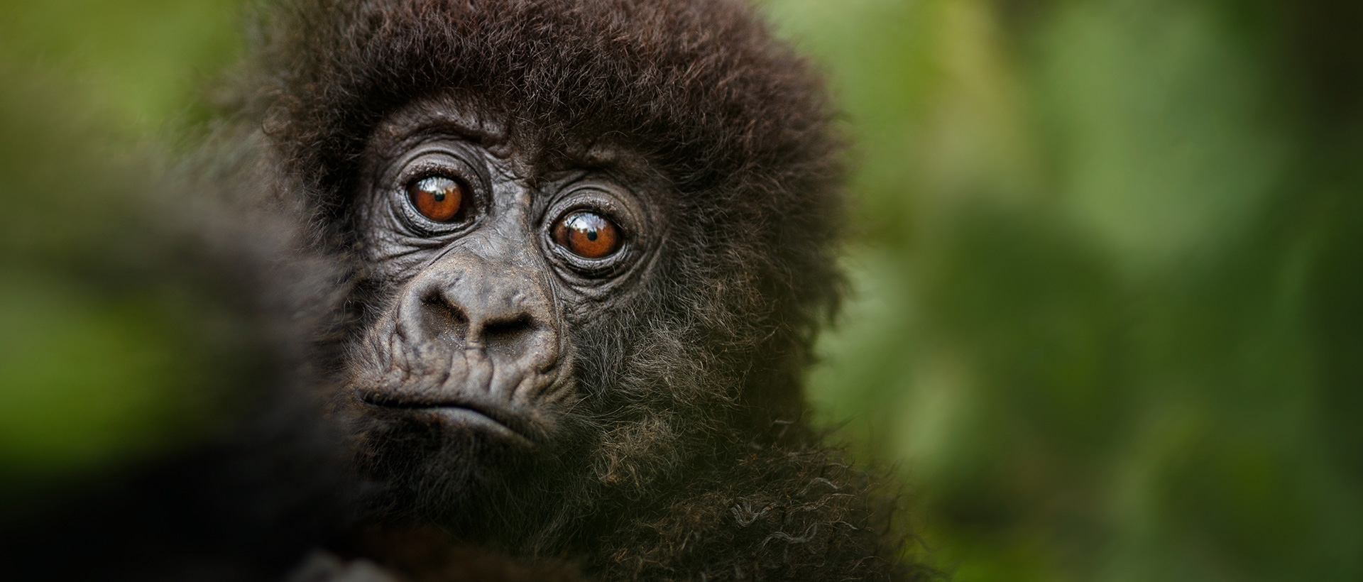  Plan your Rwanda trip today