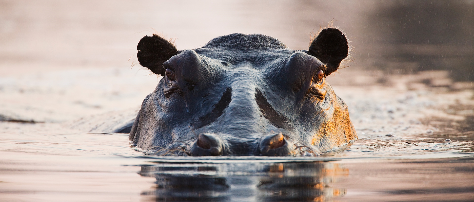  Plan your Zambia trip today