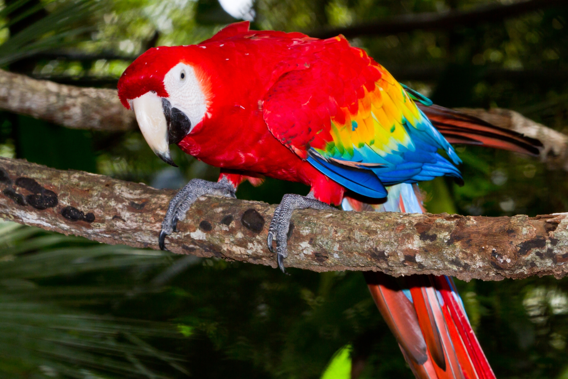 Family Fun in Guatemala & Belize 