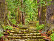 Kumano Kodo