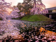 Northern Honshu