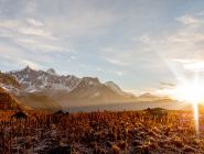 Annapurna Region