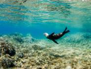 Islas Ispiritu Santo