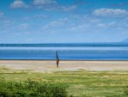 Lake Manyara National Park