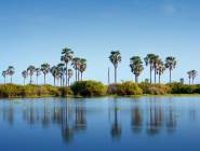 Selous Game Reserve