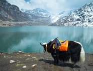 Sikkim