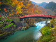 Nikko