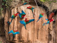 Puerto Maldonado