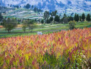Riobamba