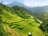 Sapa