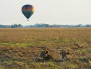 Kafue National Park