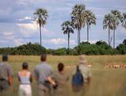 Selinda Concession