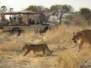 Selous and southern Tanzania