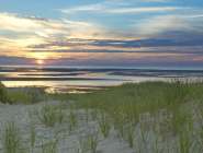 Cape Cod