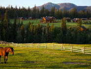 Cowboy Country