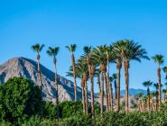 Palm Springs