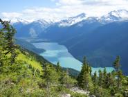 Whistler (Summer)