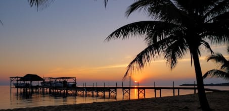 Hamanasi Resort