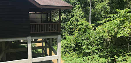 MY Nature Resort