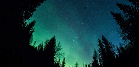 Northern Lights Safari at Sörbyn Lodge