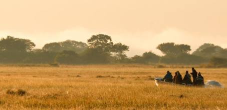 Boating safaris