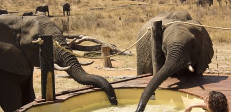 Khulu Bush Camp