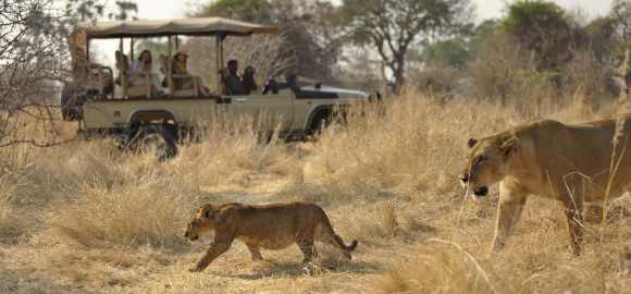 Tanzania Uncovered