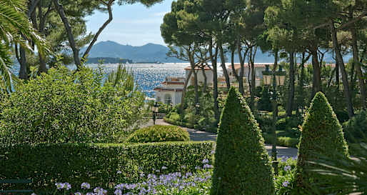 Gardens  
