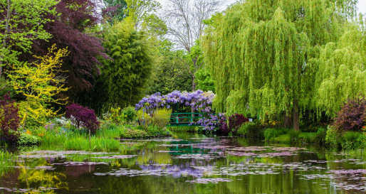 Monet's garden - Private tour of Giverny and the Palace of Versailles 
