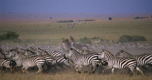 Tristan riding with zebra - Offbeat Riding Safaris