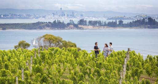 Waiheke Food and Wine - New Zealand 