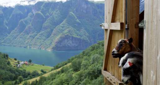 Aurland 