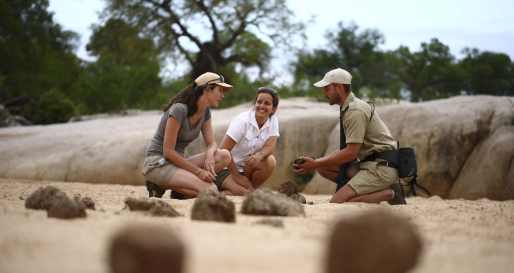Tracking on walking safari 