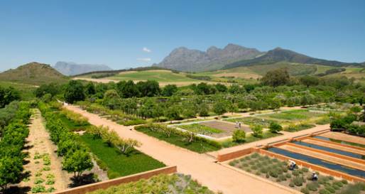 The Garden at Babylonstoren