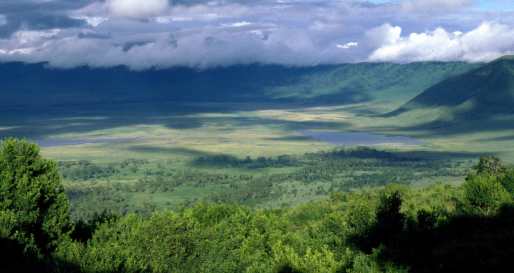 Ngorongoro Crater - Walk to Ngorongoro Crater Rim