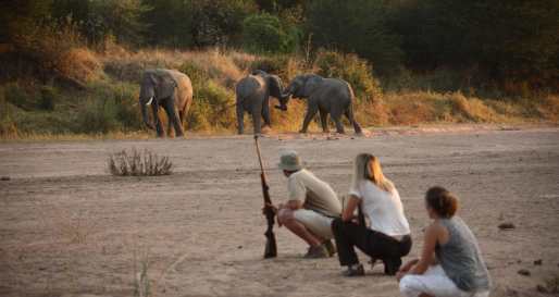 Walking safaris in Ruaha