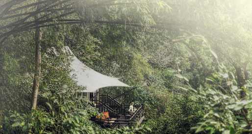 Superior Tent - Four Seasons Tented Camp Golden Triangle